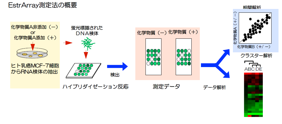 ESTrarray測定法