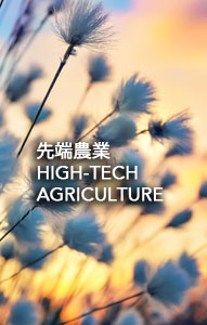 business-hightech-agriculture    