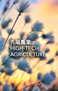 business-hightech-agriculture    
